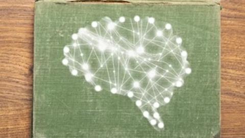 As Humanities Fight for Support